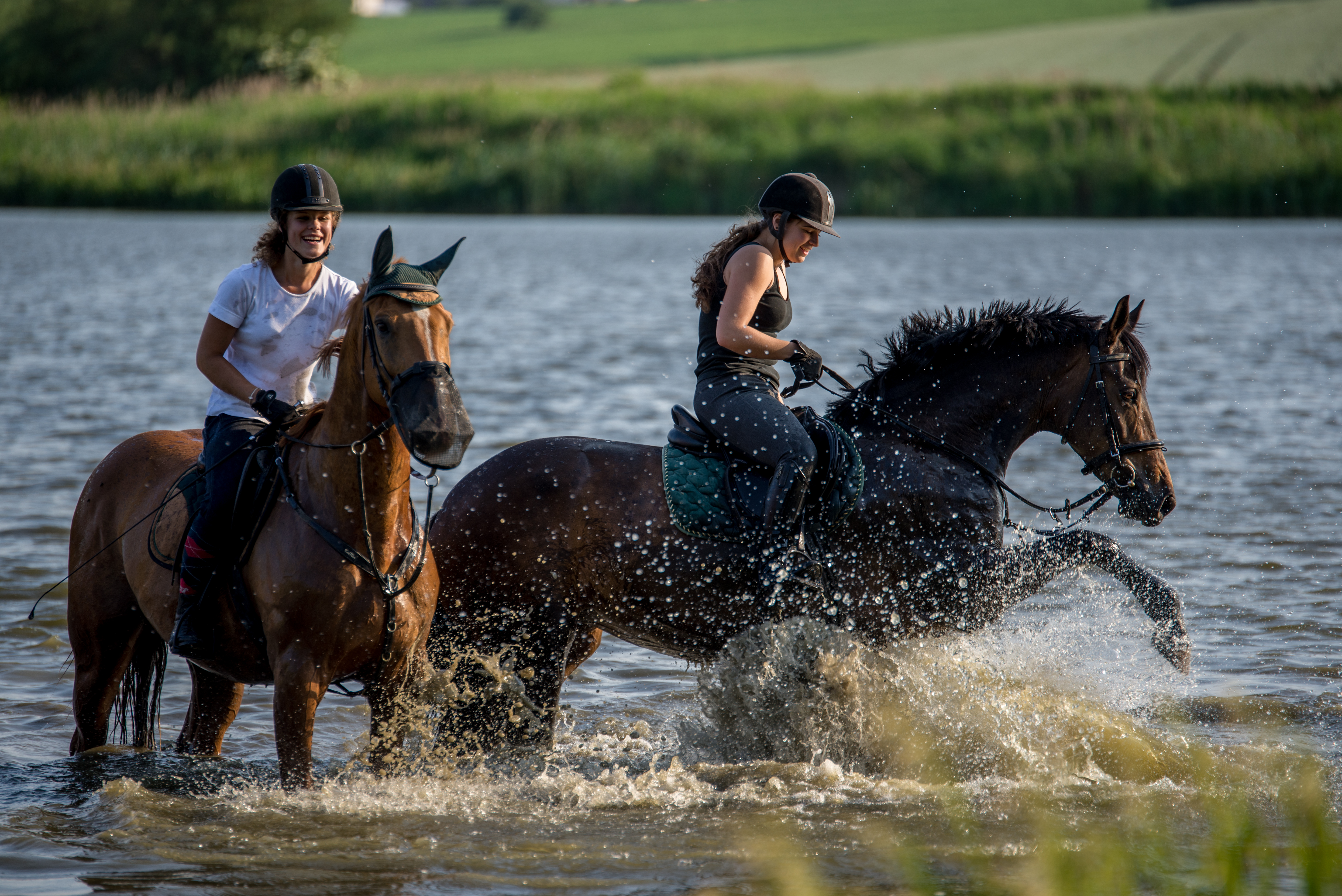 Horseback riding tour